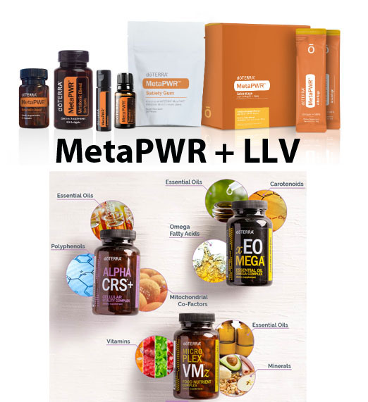 MetaPWR system and LLV